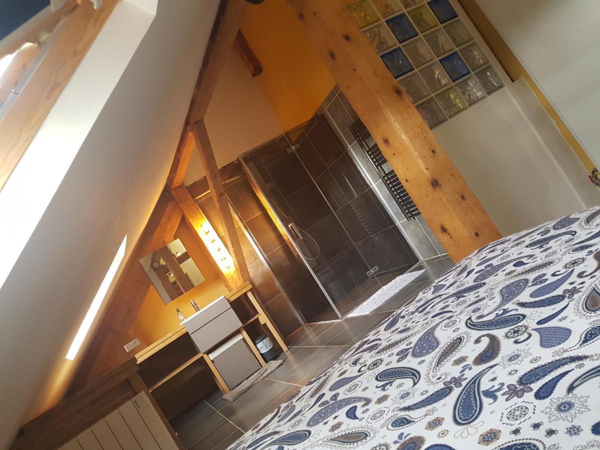 Loft Dans Les Pyrenees Apartman Oloron-Sainte-Marie Kültér fotó