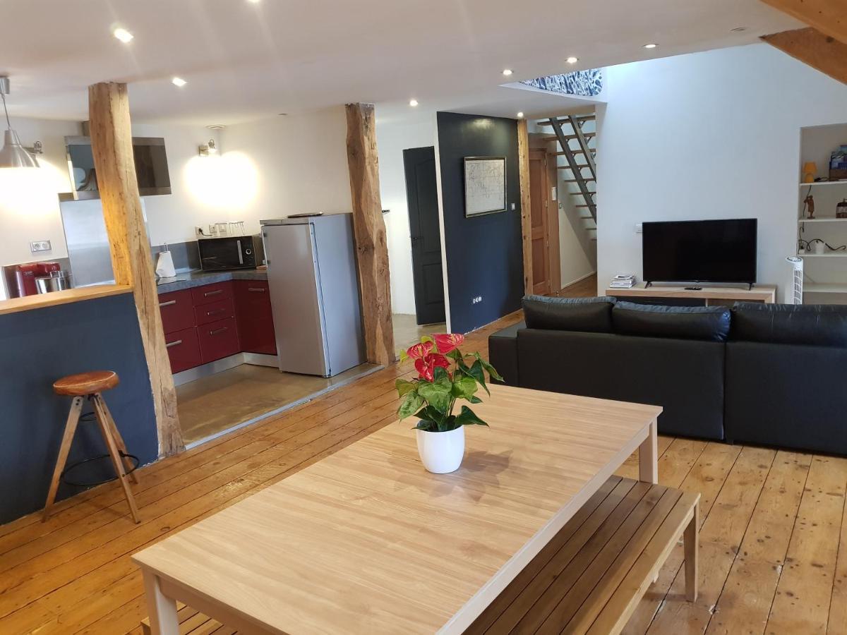 Loft Dans Les Pyrenees Apartman Oloron-Sainte-Marie Kültér fotó