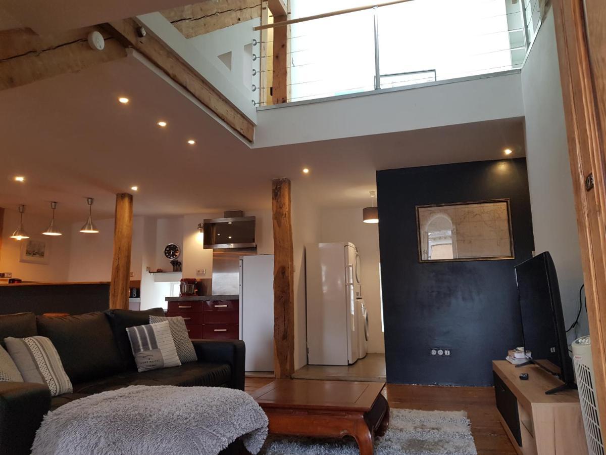 Loft Dans Les Pyrenees Apartman Oloron-Sainte-Marie Kültér fotó