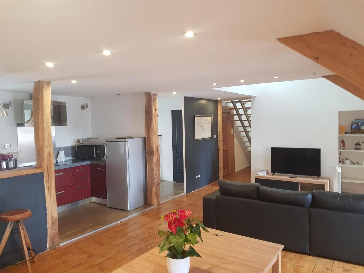 Loft Dans Les Pyrenees Apartman Oloron-Sainte-Marie Kültér fotó