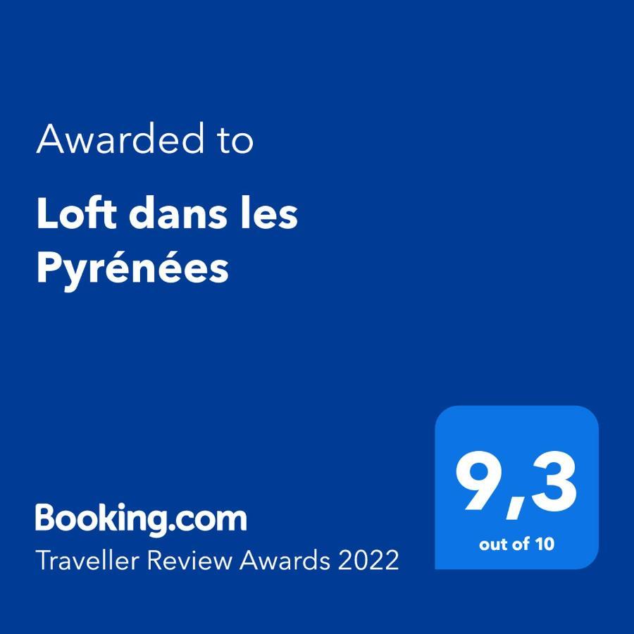 Loft Dans Les Pyrenees Apartman Oloron-Sainte-Marie Kültér fotó